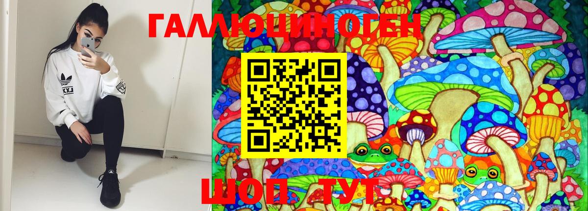 Тверь  Галлюциногенные грибы Cubensis  Вход с VPN 